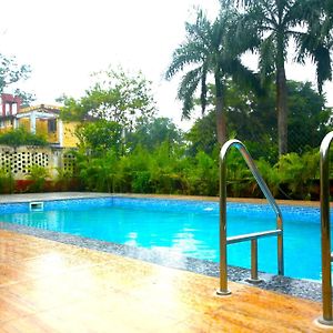 Tribal Wood Resort